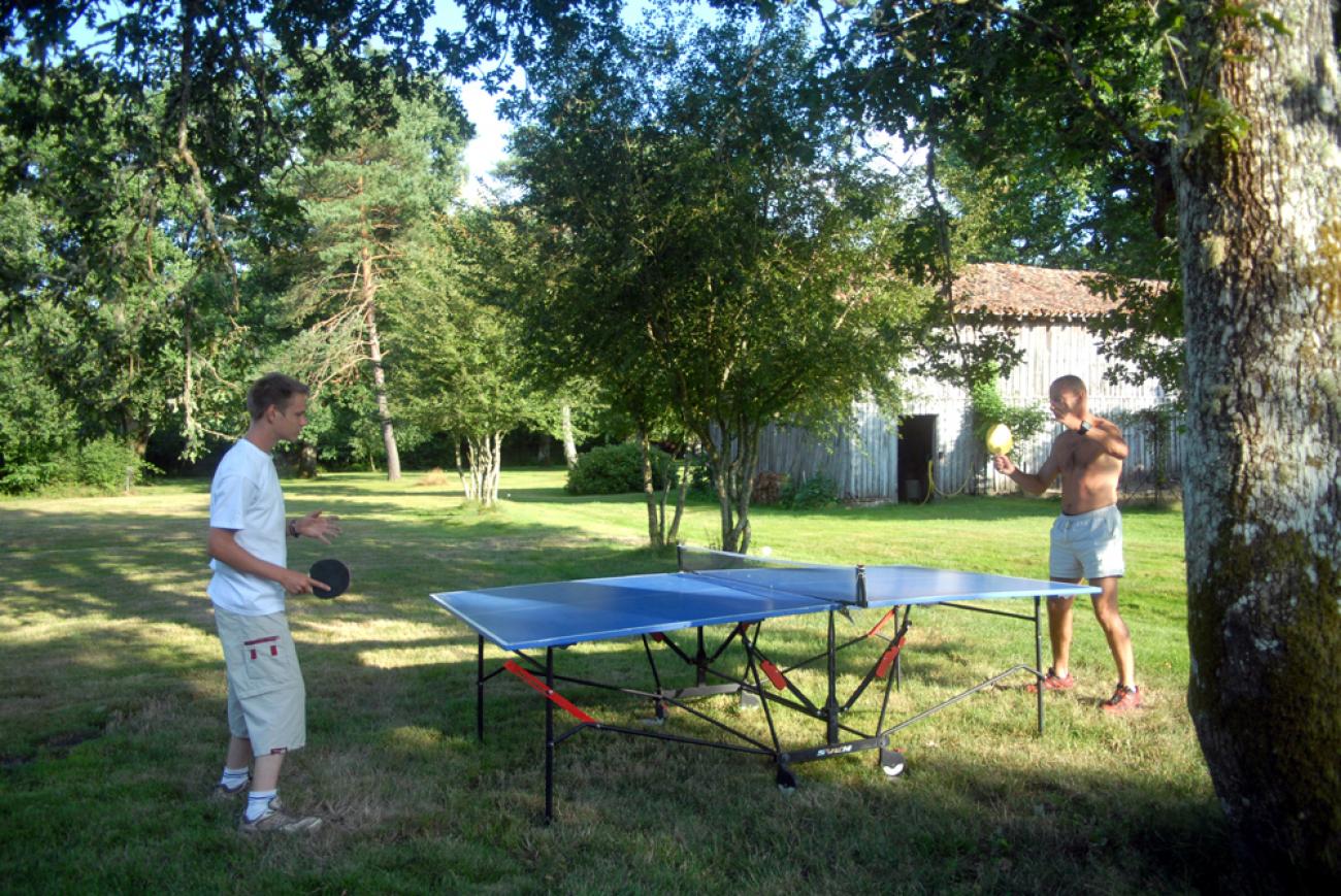 zfh_32-ping pong 1 (2).jpg